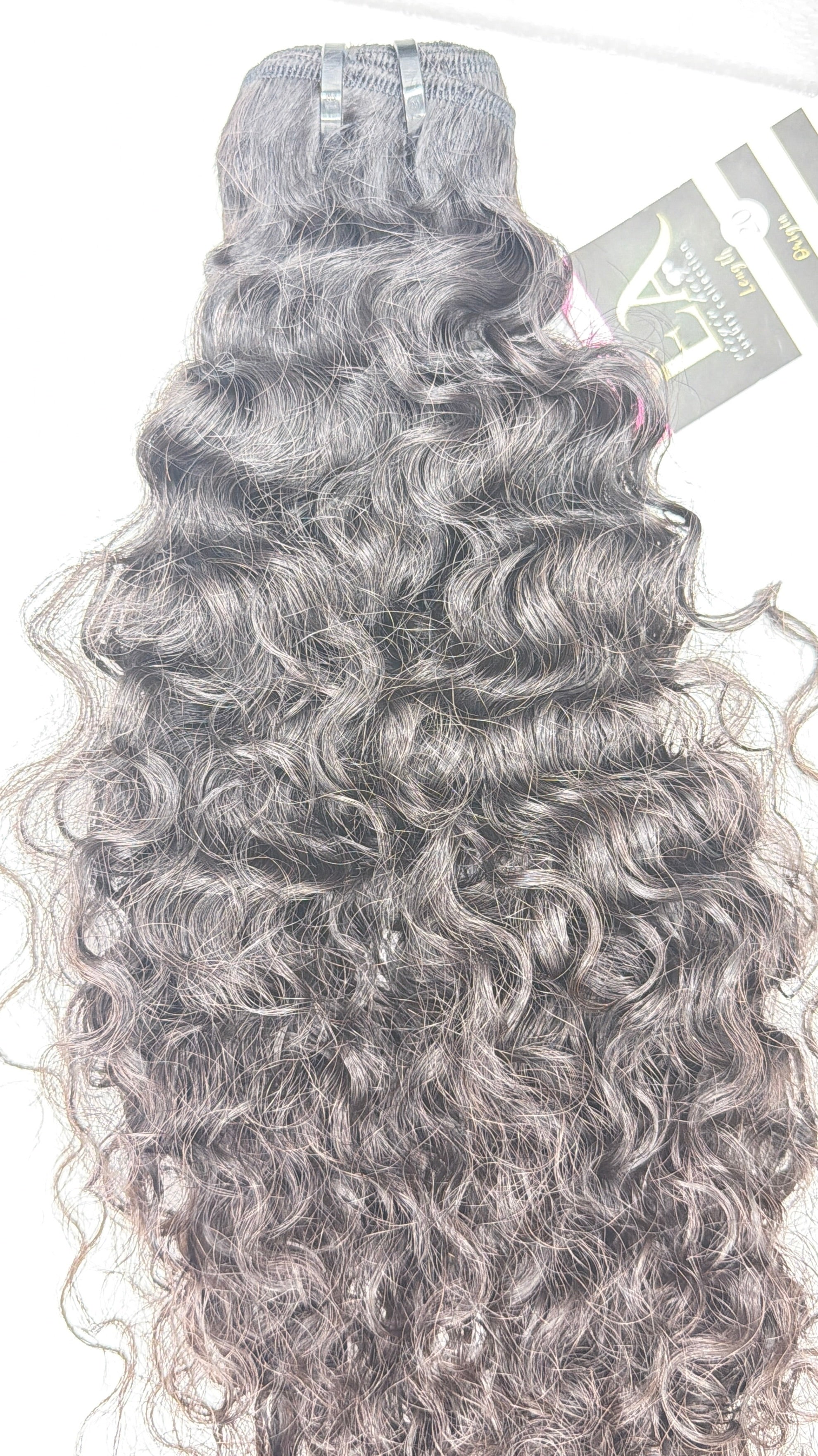 Burmese Luxe Curly