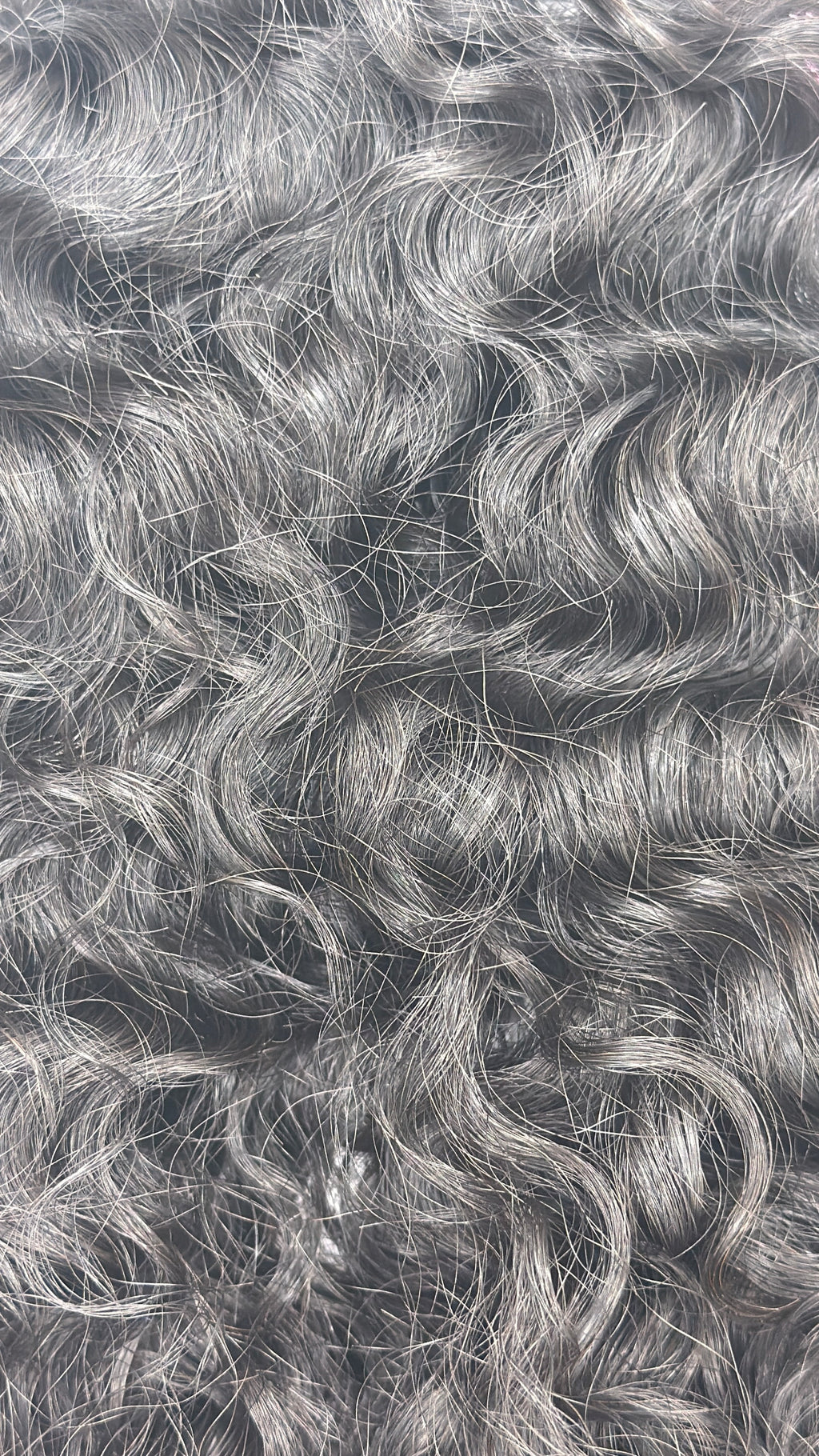 Burmese Luxe Curly