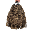 Burmese Curly Cochet Hair